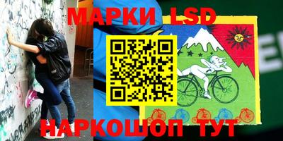 сатива Заволжье